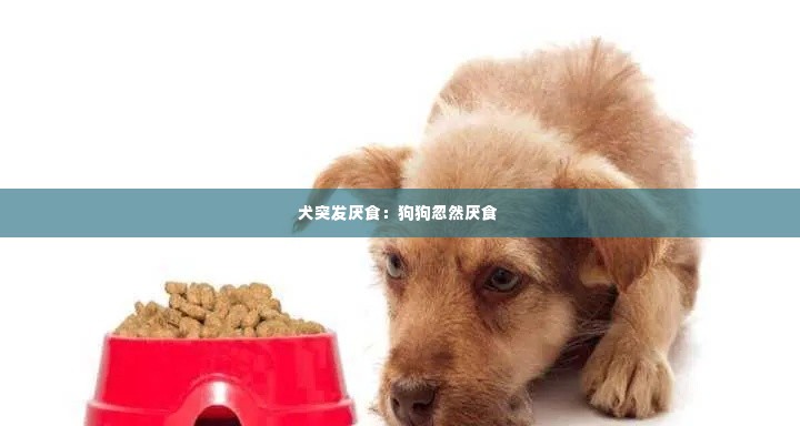 旧雨重逢 第3页