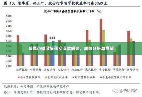 普惠小微政策落实深度解读,成效分析与展望