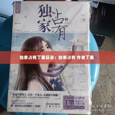 独家占有丁墨目录:独家占有 作者丁墨