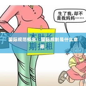 国际规范概念：国际规制是什么意思 