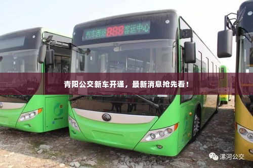 青阳公交新车开通,最新消息抢先看!