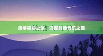 唐筝探秘之旅，深度解读音乐之美