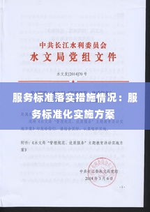 服务标准落实措施情况:服务标准化实施方案