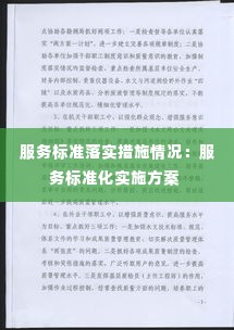 服务标准落实措施情况:服务标准化实施方案