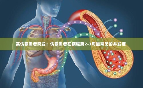 某伤寒患者突发:伤寒患者在病程第2-3周最常见的并发症