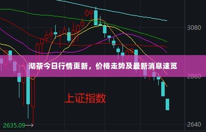 物以稀为贵 第4页