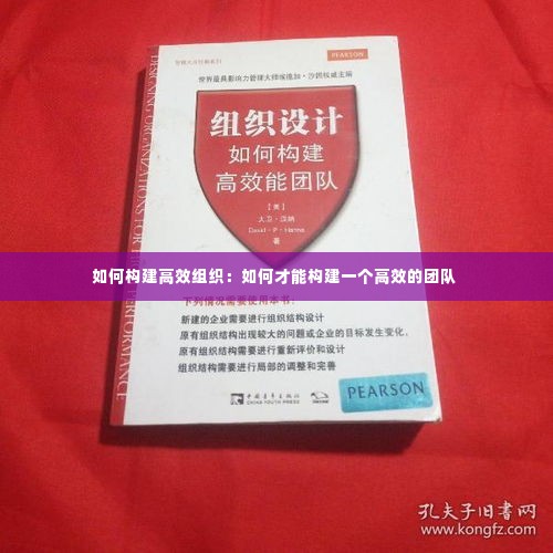 如何构建高效组织：如何才能构建一个高效的团队 