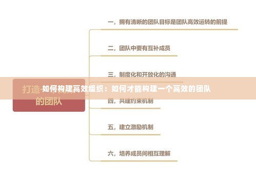 如何构建高效组织:如何才能构建一个高效的团队