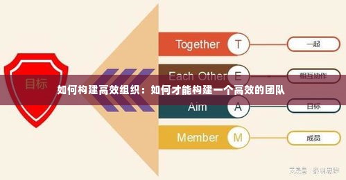 如何构建高效组织:如何才能构建一个高效的团队