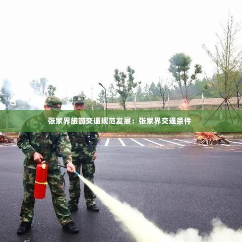 张家界旅游交通规范发展:张家界交通条件