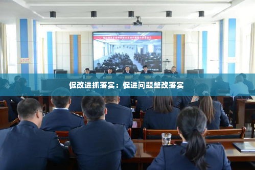 促改进抓落实：促进问题整改落实 