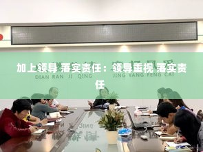 加上领导 落实责任:领导重视 落实责任