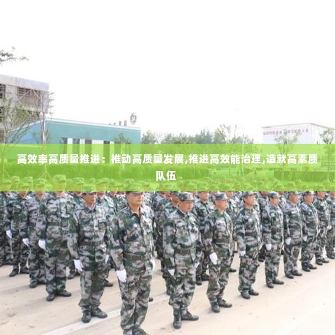 高效率高质量推进:推动高质量发展,推进高效能治理,造就高素质队伍