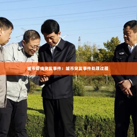 凤鸟不至 第4页