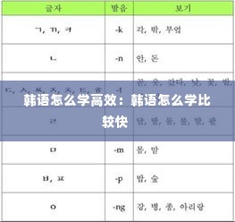 韩语怎么学高效:韩语怎么学比较快
