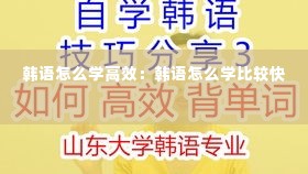 韩语怎么学高效:韩语怎么学比较快