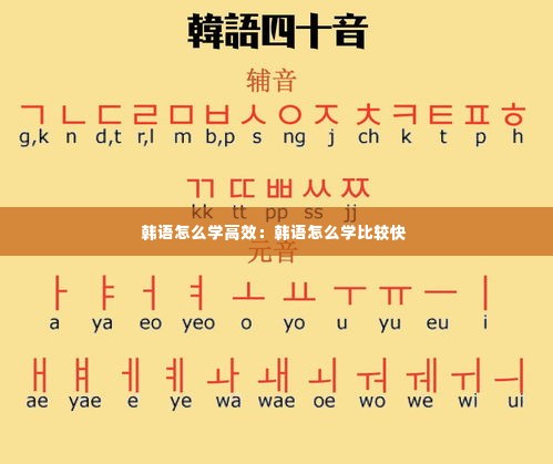 韩语怎么学高效:韩语怎么学比较快