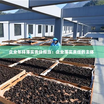 企业怎样落实责任担当：企业落实责任的主体 