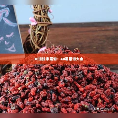 30道独家菜谱:40道菜谱大全