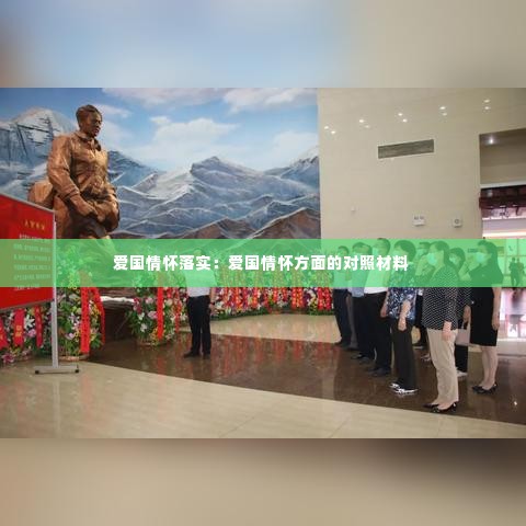 爱国情怀落实:爱国情怀方面的对照材料