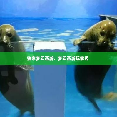 独家梦幻西游：梦幻西游玩家秀 