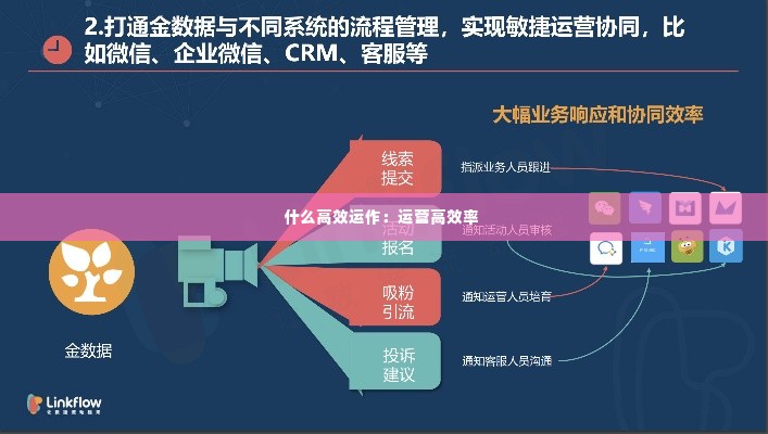 什么高效运作:运营高效率