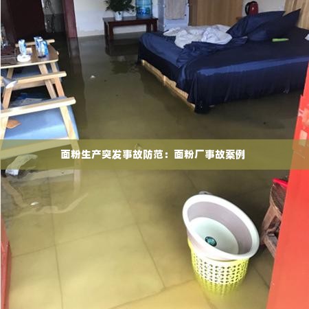 面粉生产突发事故防范：面粉厂事故案例 