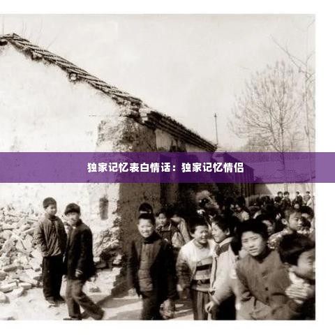 独家记忆表白情话:独家记忆情侣