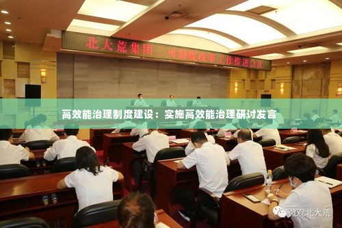 高效能治理制度建设:实施高效能治理研讨发言