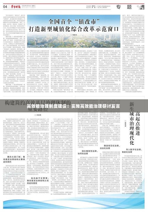 高效能治理制度建设:实施高效能治理研讨发言