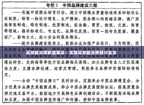 高效能治理制度建设:实施高效能治理研讨发言