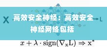 高效安全神经:高效安全神经网络包括