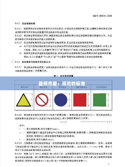 最规范最:规范的标准
