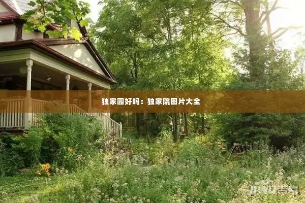 独家园好吗：独家院图片大全 