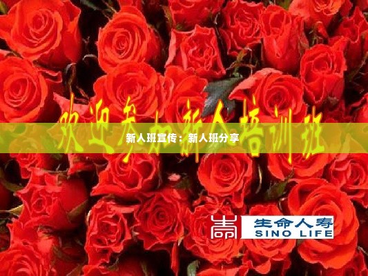 新人班宣传:新人班分享