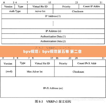 bpv规范:bpv规范第五卷 第二章