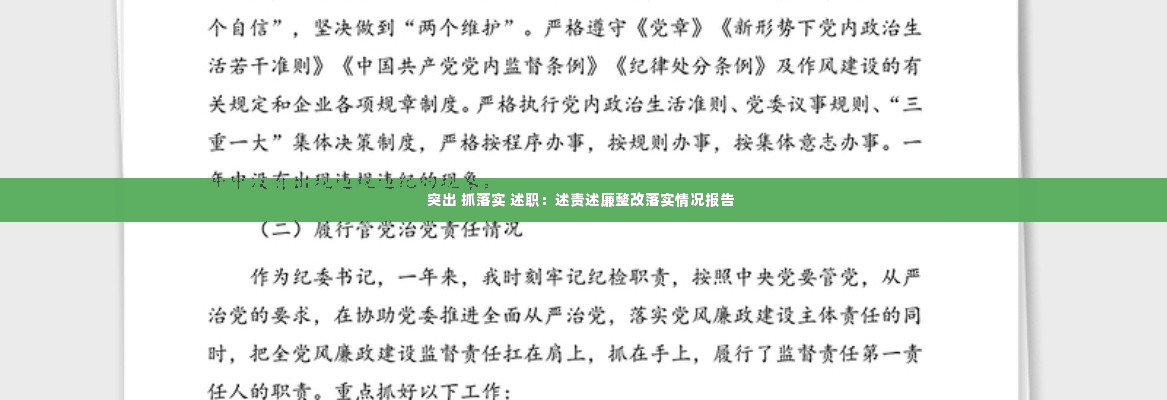 突出 抓落实 述职:述责述廉整改落实情况报告