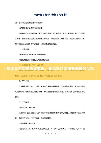 复工复产监督落实情况:复工复产工作开展情况汇报