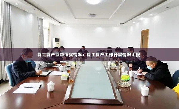 复工复产监督落实情况:复工复产工作开展情况汇报