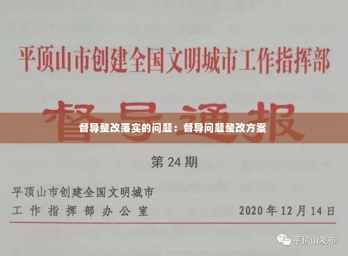 督导整改落实的问题:督导问题整改方案