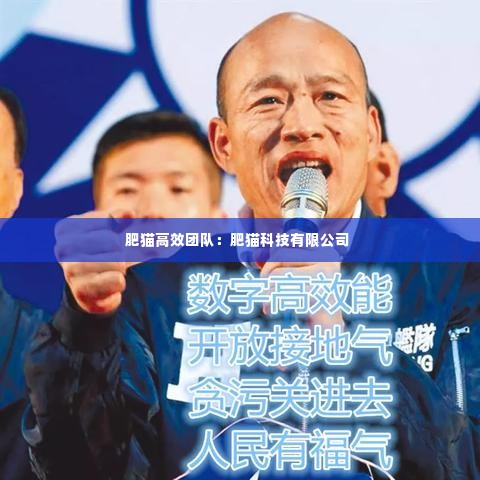 肥猫高效团队:肥猫科技有限公司