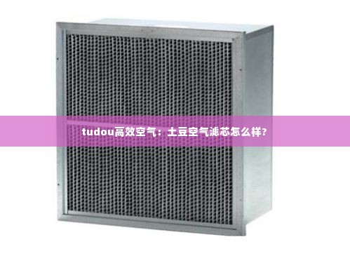 tudou高效空气:土豆空气滤芯怎么样?