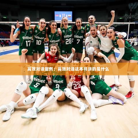 高效对话案例：高效对话这本书讲的是什么 