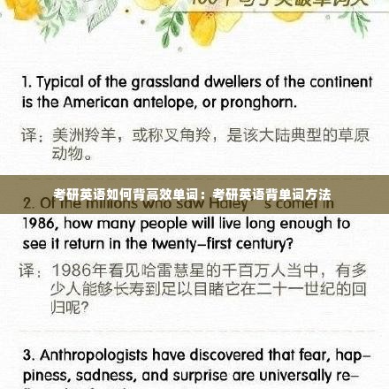 考研英语如何背高效单词:考研英语背单词方法
