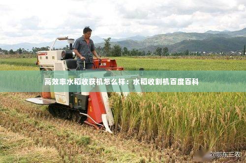 高效率水稻收获机怎么样:水稻收割机百度百科