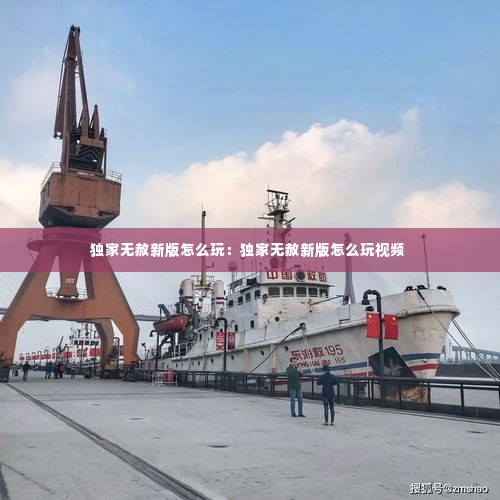独家无赦新版怎么玩：独家无赦新版怎么玩视频 
