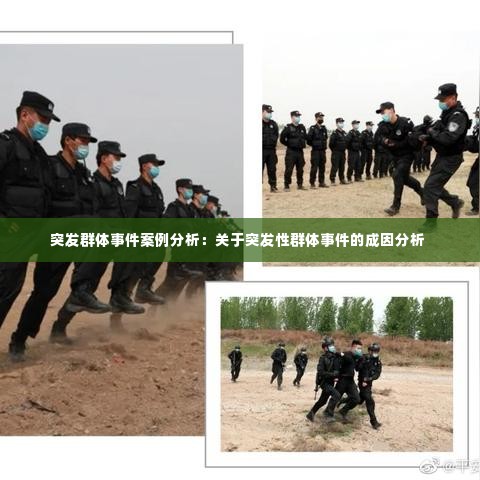 突发群体事件案例分析:关于突发性群体事件的成因分析