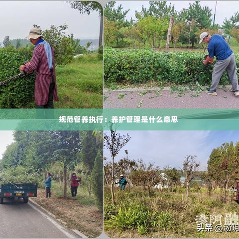 规范管养执行:养护管理是什么意思