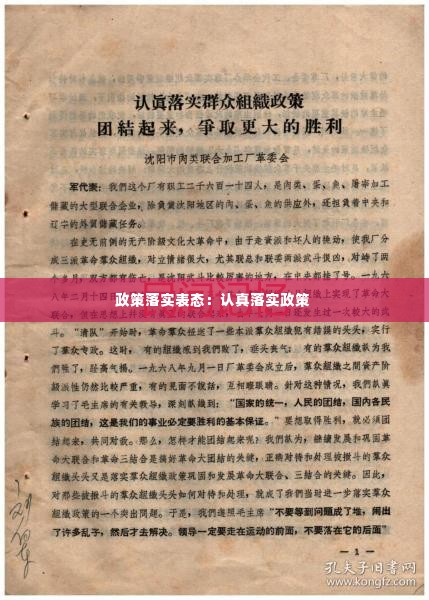 政策落实表态:认真落实政策