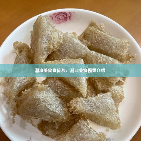 潮汕美食宣传片：潮汕美食视频介绍 